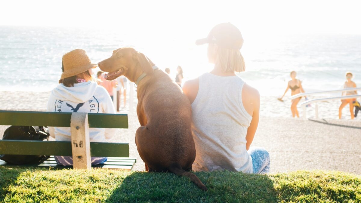 The Fascinating World of Animal Behavior: A Deep Dive into the Minds of Our Furry Friends