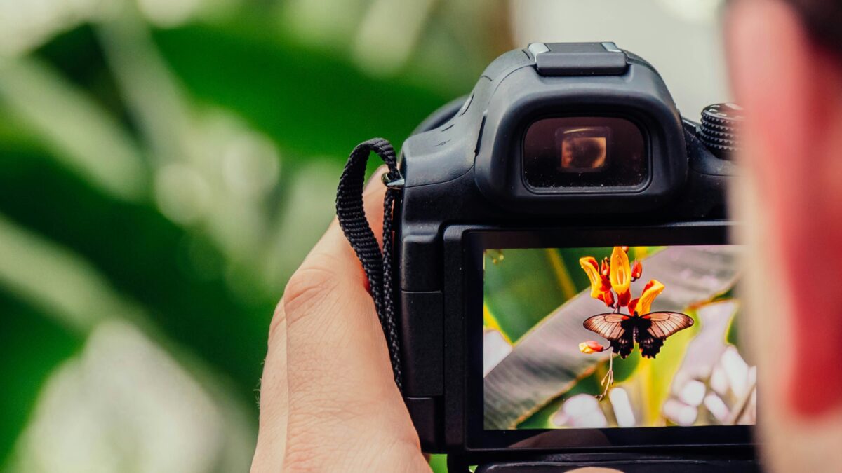 Capturing Moments: A Beginner’s Guide to Photography Essentials