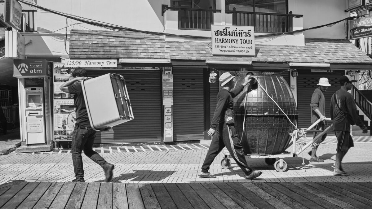 From Snapshots to Masterpieces: Elevating Your Photography Skills