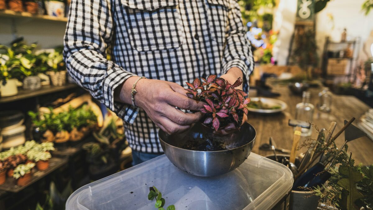 The Art of Cooking: Exploring Techniques and Culinary Creativity