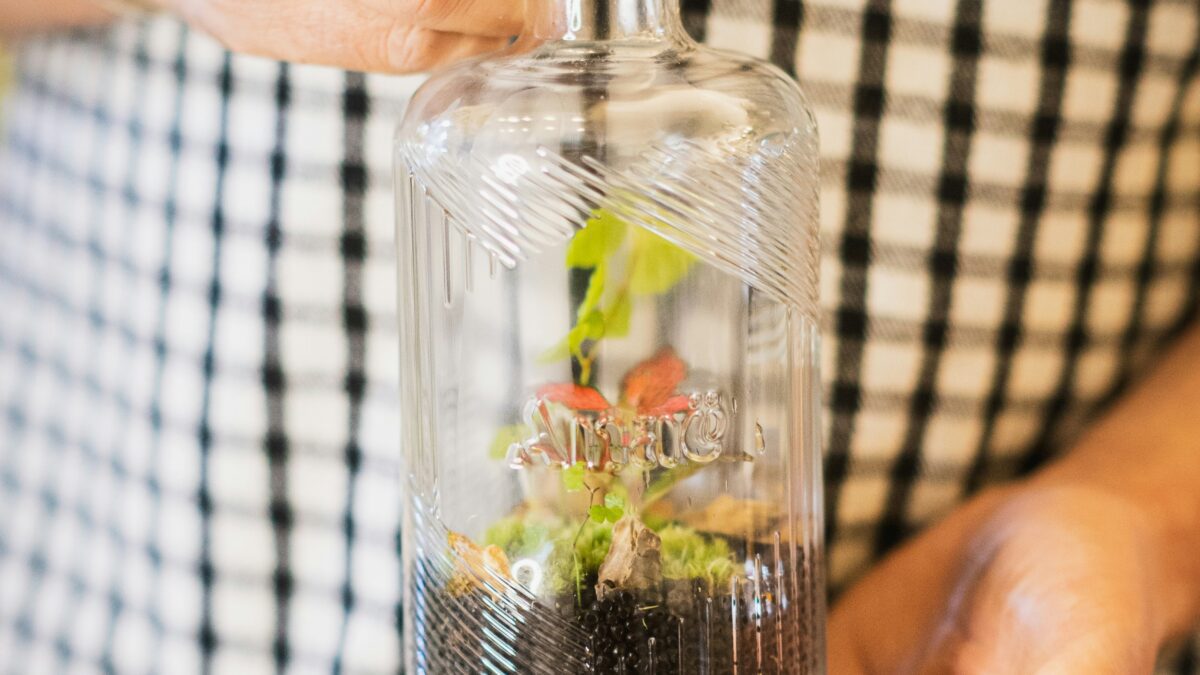 From Novice to Gourmet: A Beginner’s Guide to Delicious Home-Cooked Meals